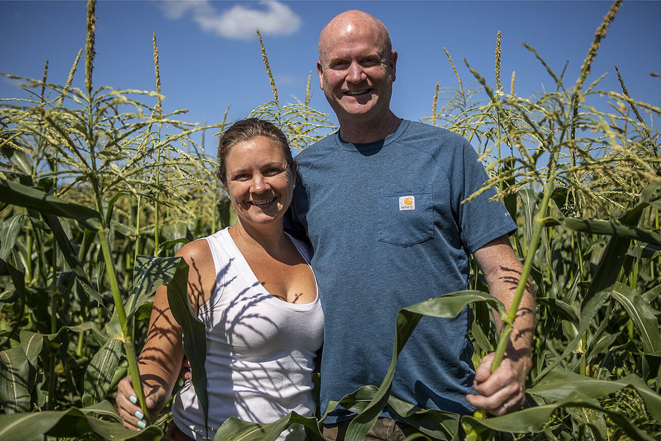 Sarah Ricci, left, and Bob Ricci, right pose for a photo at Bob’s Corn and Pumpkin Farm in Snohomish, Washington on Thursday, July 27, 2023. (Annie Barker / The Herald)
