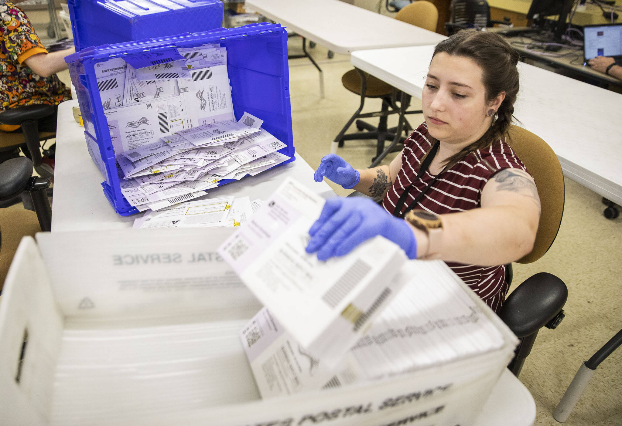 Elections assistant Keri Gompf organizes ballots to be sorted on Tuesday, Aug. 1, 2023 in Everett, Washington. (Olivia Vanni / The Herald)