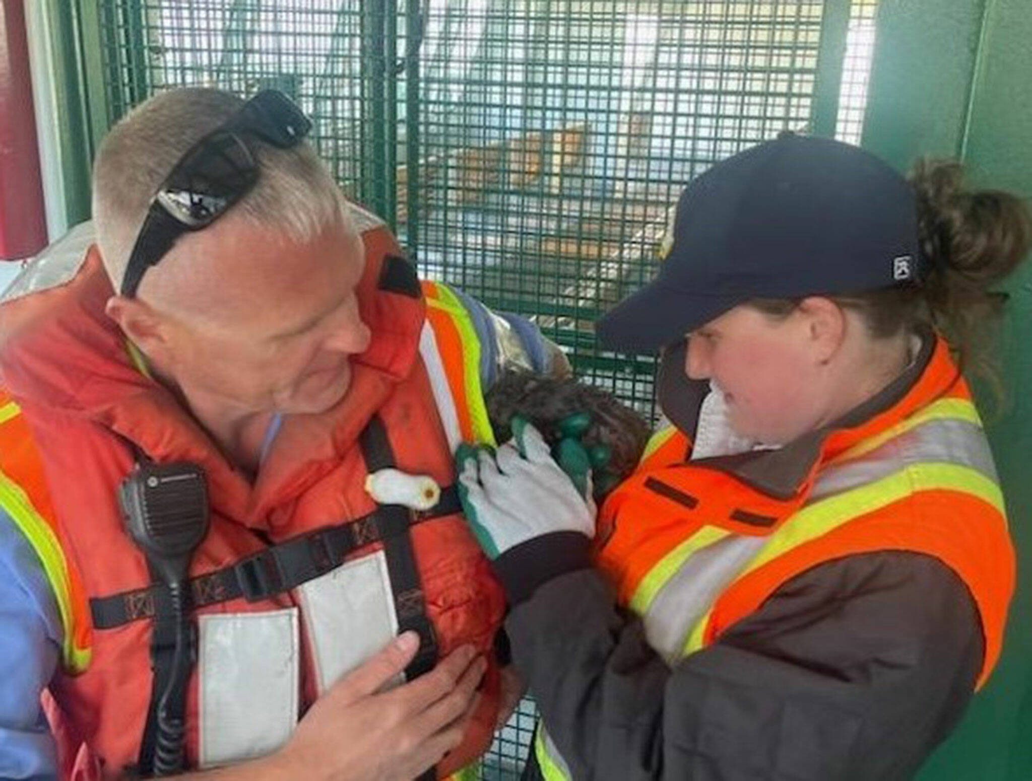 Ryan Jones handed off the kitten to Chrystyl Levee Zwink. (Photo provided by Washington State Ferries)