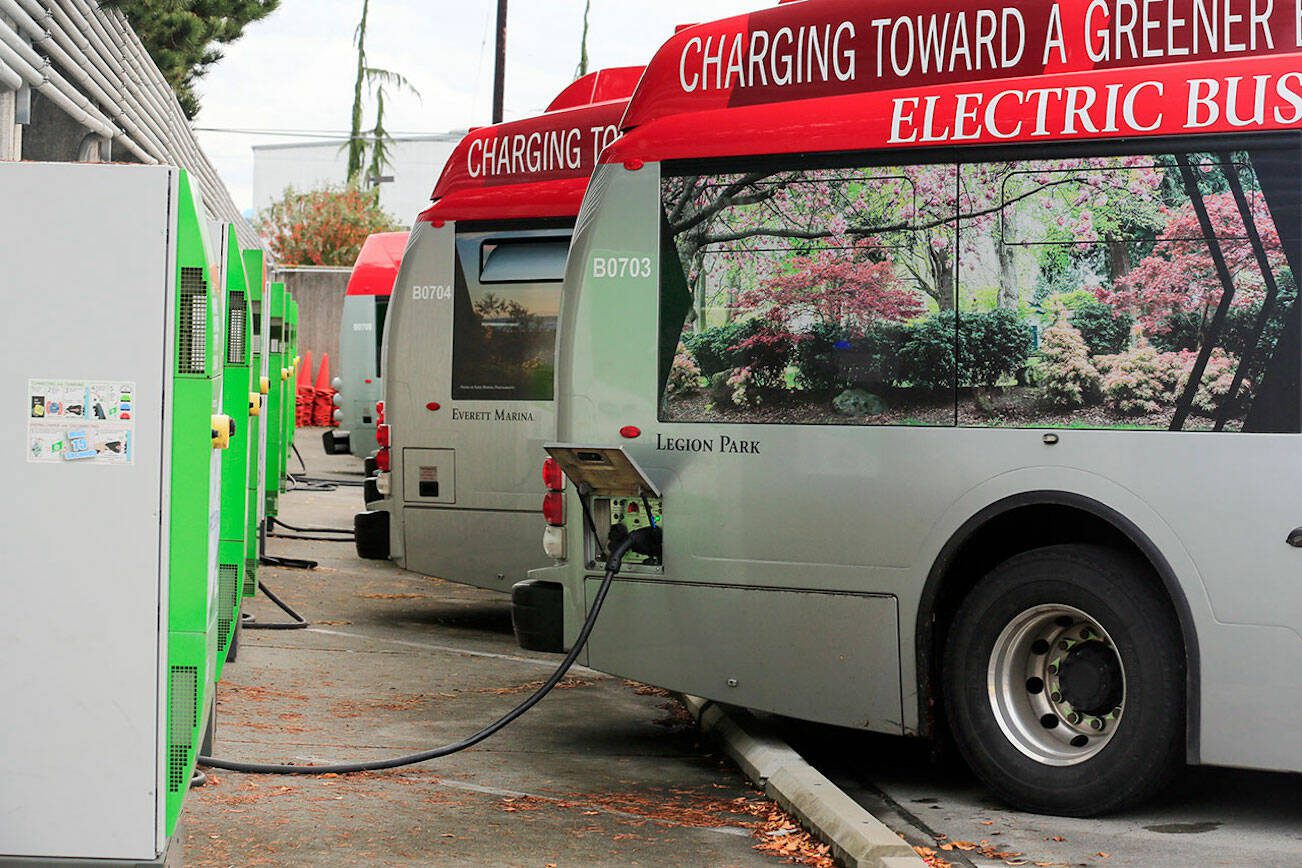 Buses charge before their next route Friday afternoon at the Everett Transit Center in Everett on October 22, 2021.  (Kevin Clark / The Herald)