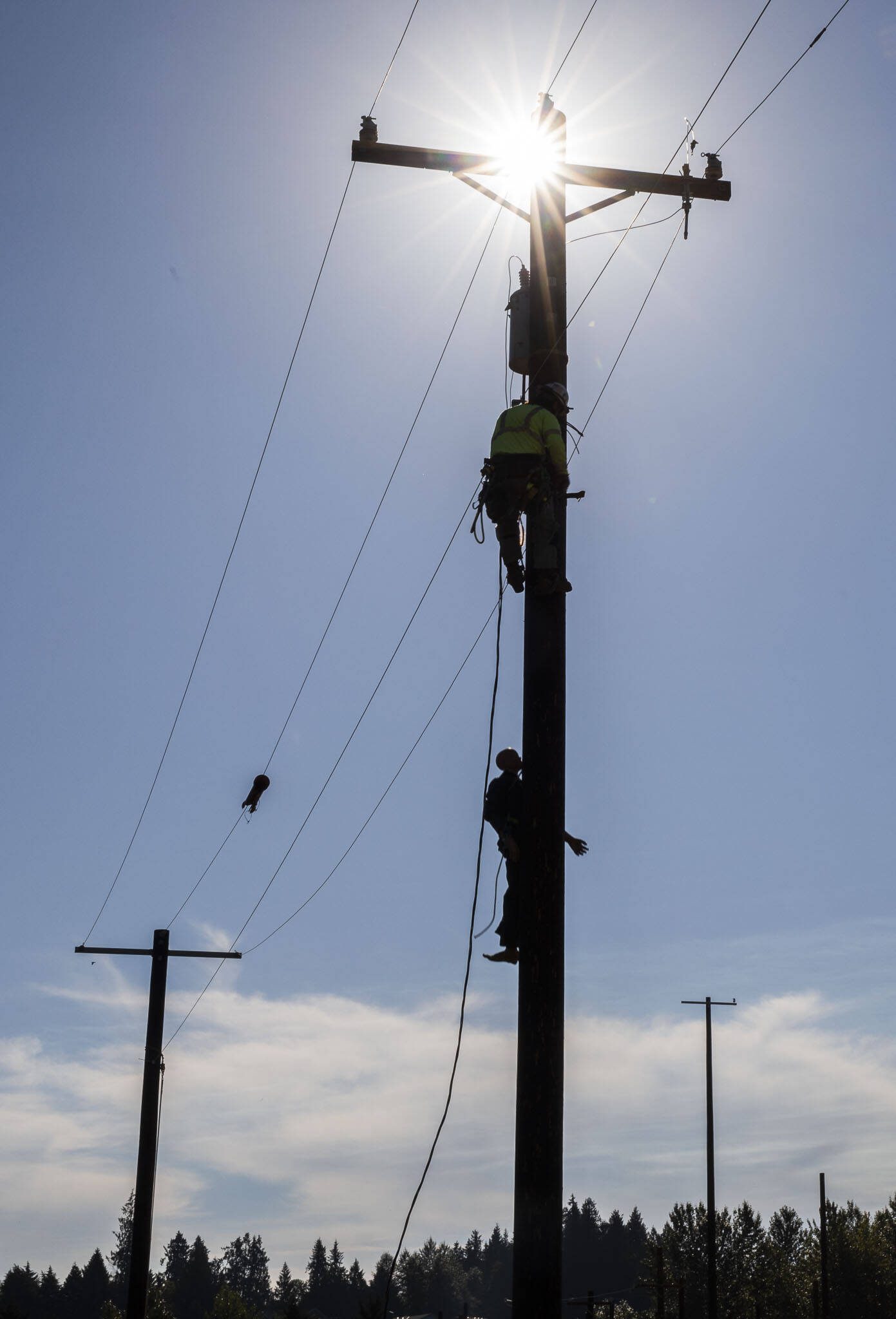 A PUD lineman lowers a human dummy down a utility pole during a pole top rescue demonstration on Thursday, Aug. 17, 2023 in Arlington, Washington. (Olivia Vanni / The Herald)
