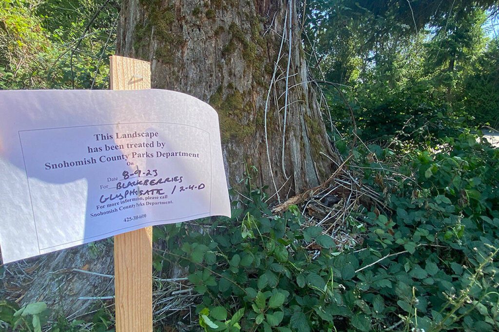 A sign explains the nearby area was sprayed with glyphosate and 2,4-D on Aug. 9, 2023. (Ta’Leah Van Sistine / The Herald)
