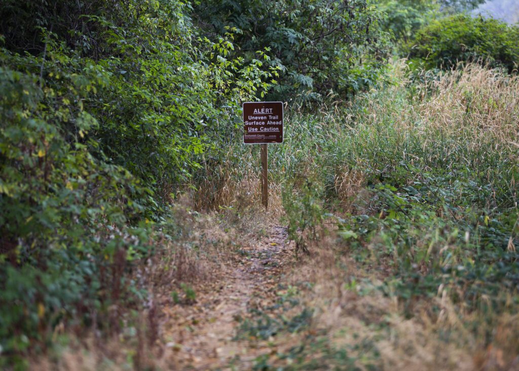 A sign alerts people to uneven trail ahead on Spencer Island on Monday, Aug. 28, 2023 in Everett, Washington. (Olivia Vanni / The Herald)
