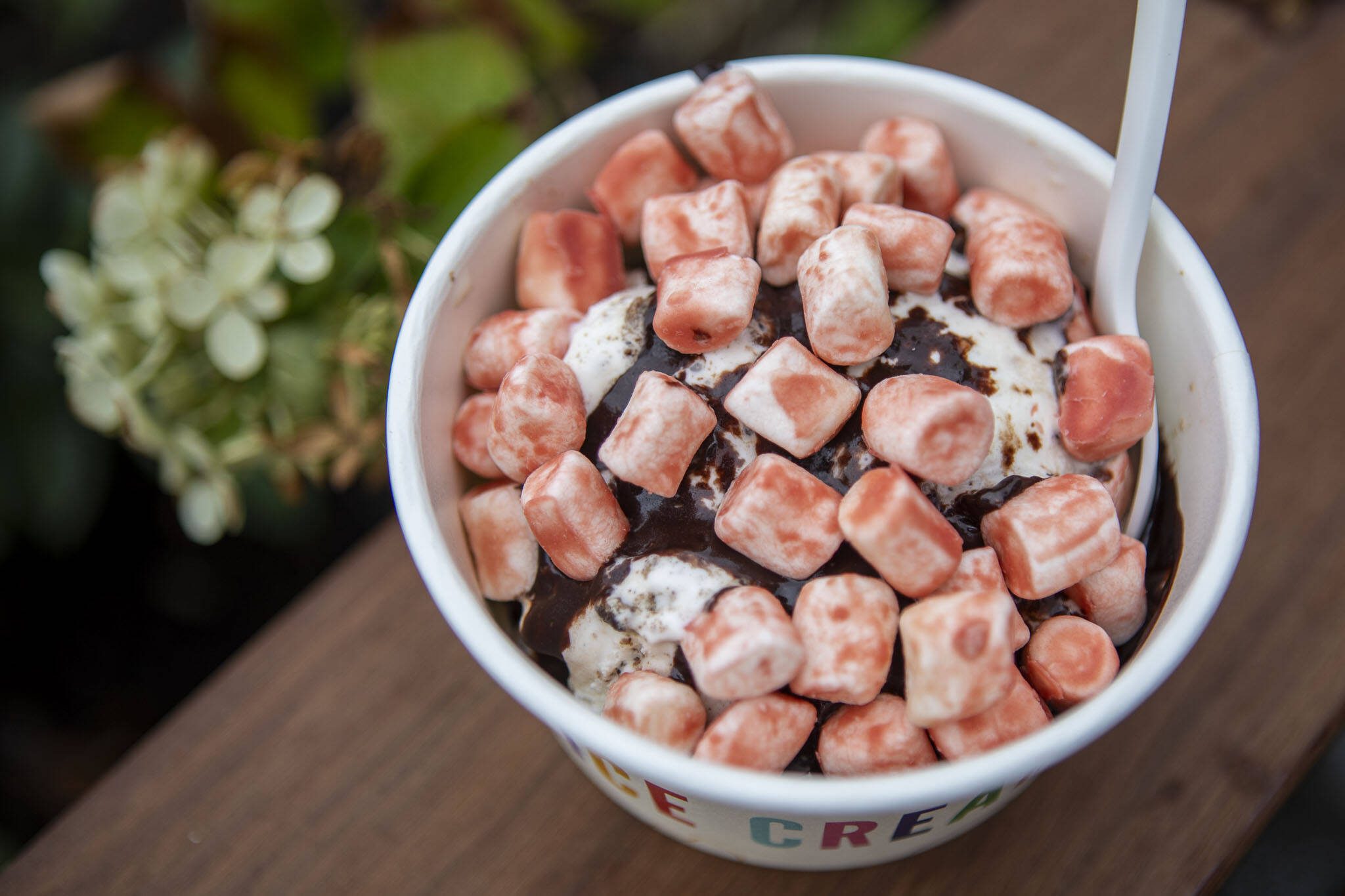 Scout Mint with seasonal strawberry covered marshmallows at Molly Moon's Ice Cream in Edmonds, Washington on Wednesday, Aug. 30, 2023. (Annie Barker / The Herald)