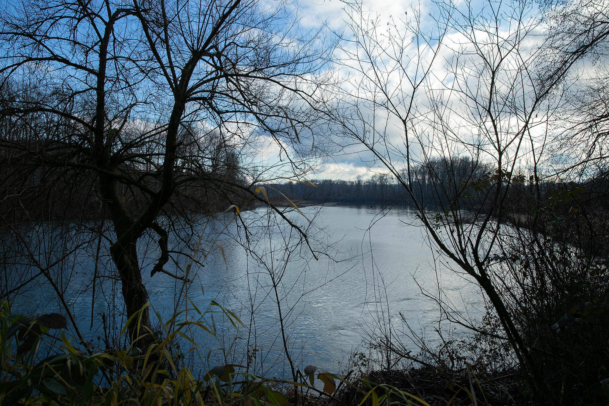 The Snohomish River bends past Bob Heirman Wildlife Park at Thomas Eddy on Dec. 14, 2022, in Snohomish, Washington. (Ryan Berry / The Herald)