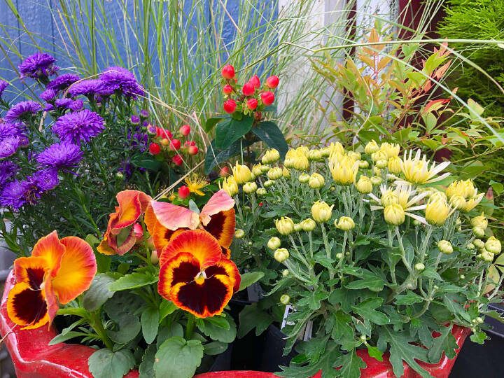 Take advantage of these transitional months with some temporary adjustments to your containers. (Sunnyside Nursery)