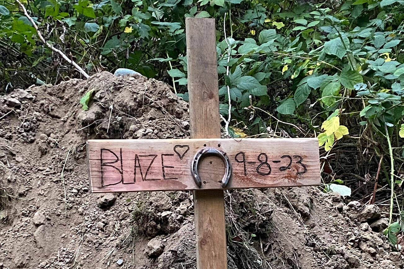 A grave marker for Blaze the horse. (Photo provided)