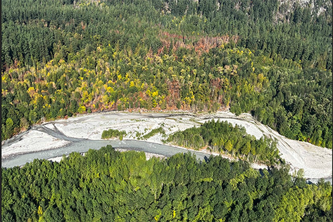 Huckleberry Flats fire (U.S. Forest Service)