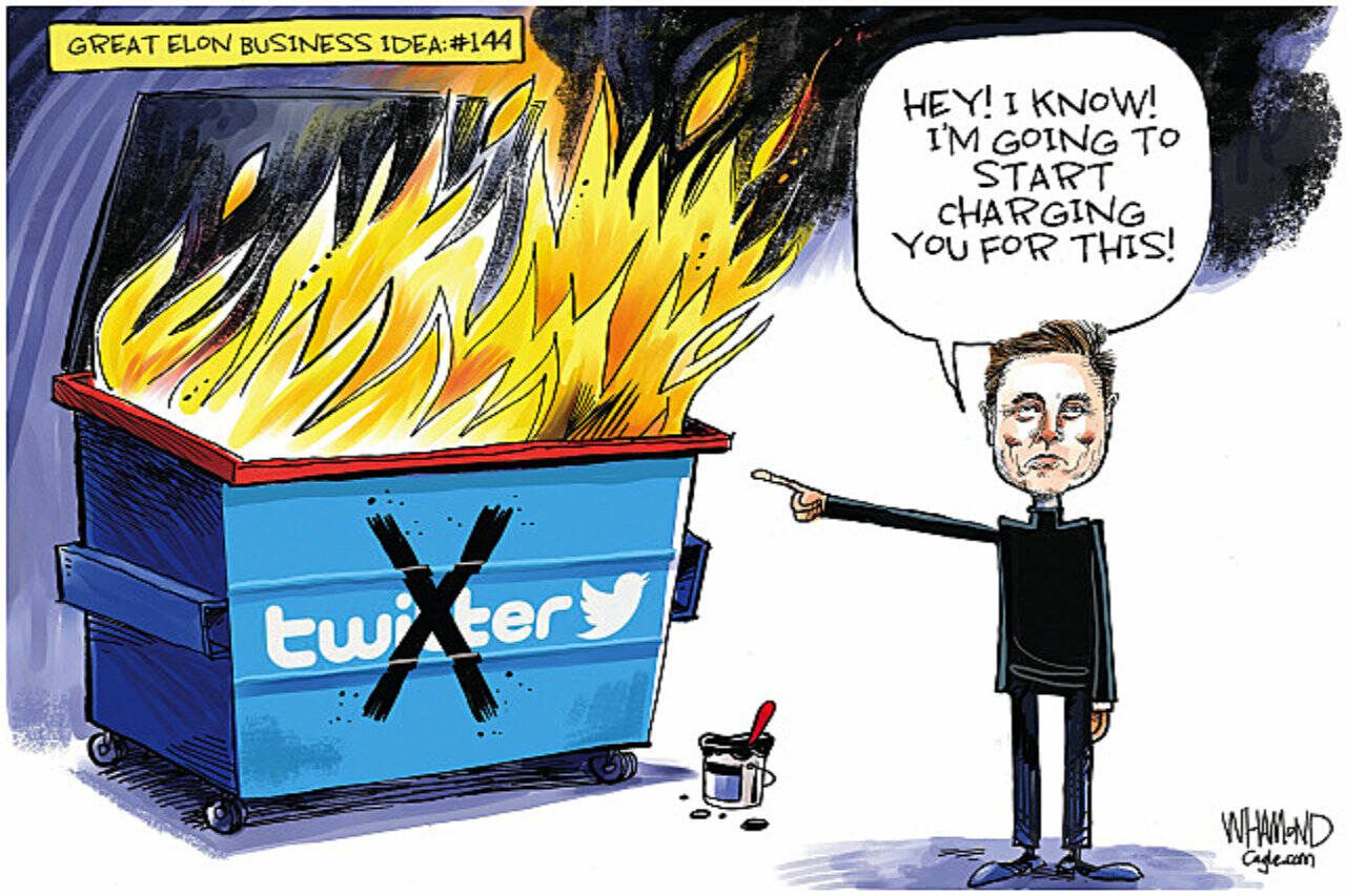 toon
