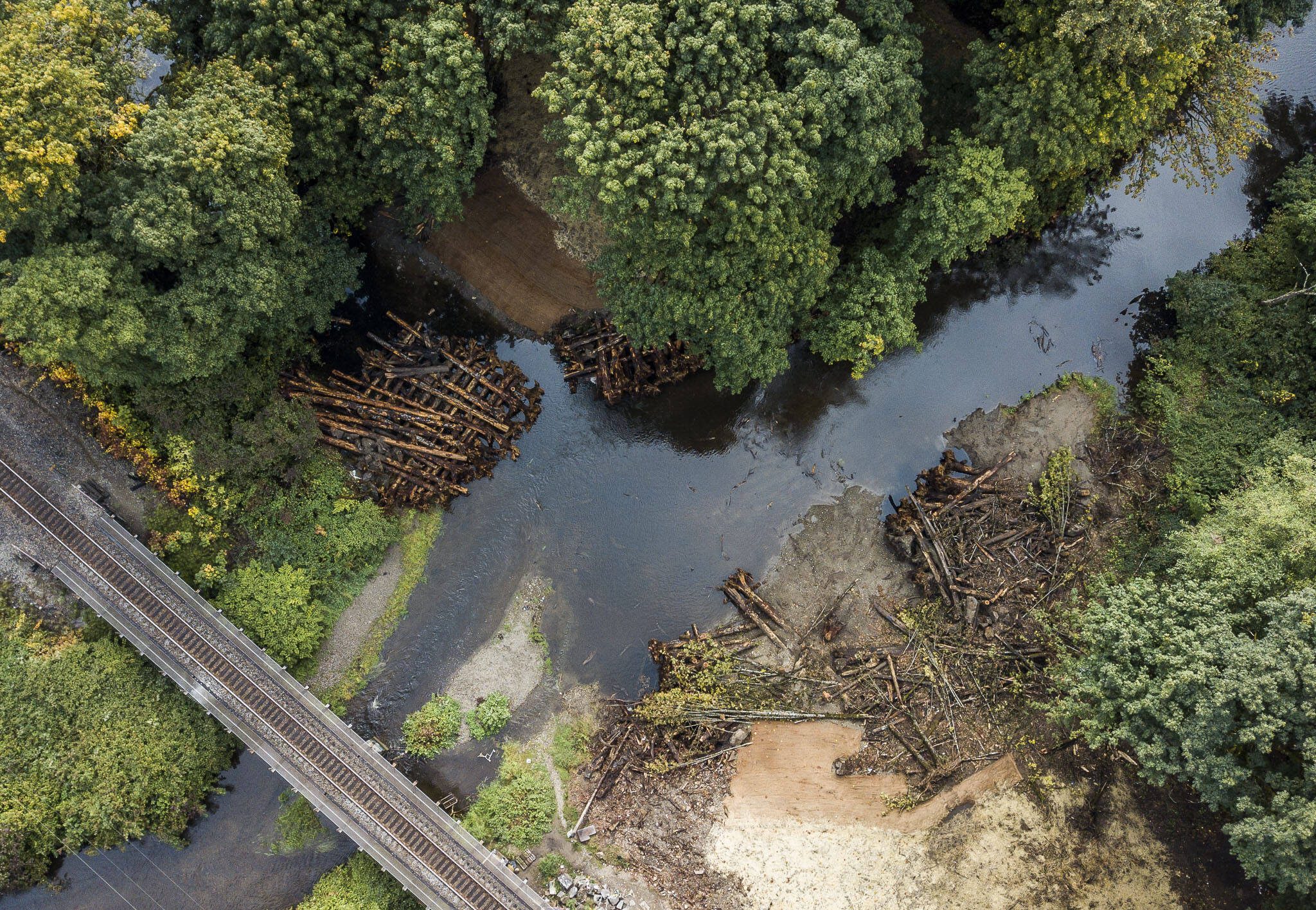 Artificial logjams are visible along Woods Creek where Adopt a Stream Foundation recently led the removal of a creosote railroad trestle that was toxic and a physical barrier for migrating salmon on Tuesday, Sept. 26, 2023 in Monroe, Washington. (Olivia Vanni / The Herald)