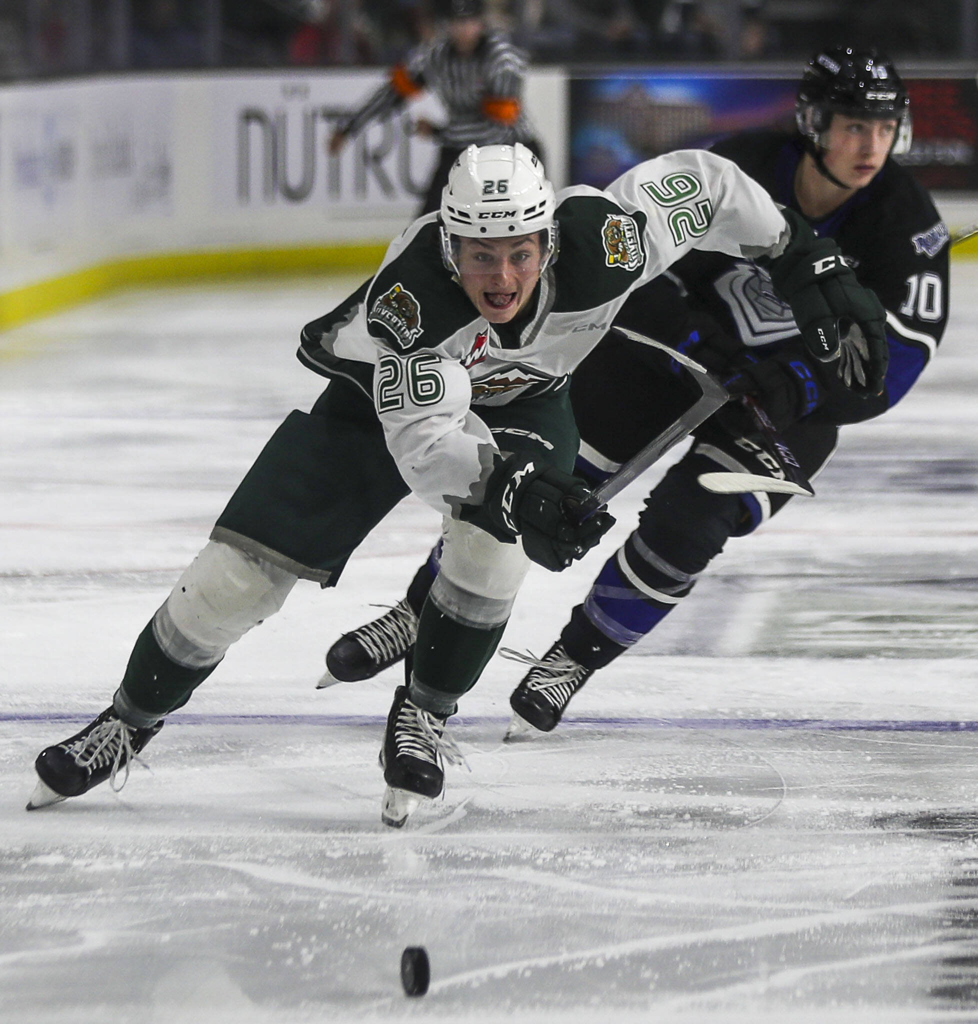 Silvertips’ Andrew Petruk (26) fights for the puck during a game between the Everett Silvertips and Victoria Royals at the Angel of the Winds Arena on Saturday, Sept. 23, 2023. The Silvertips won, 5-3. (Annie Barker / The Herald)