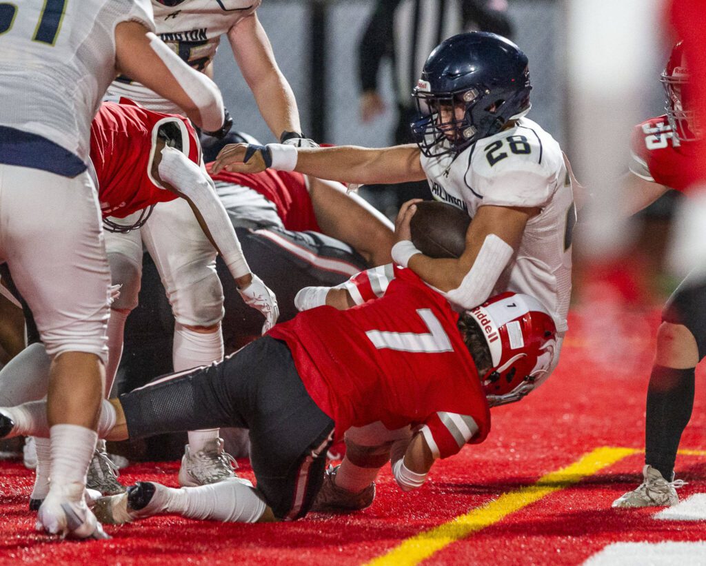 Arlington’s Caleb Reed is tackled into the end zone for a touchdown during the game against Stanwood on Friday, Sept. 29, 2023 in Stanwood, Washington. (Olivia Vanni / The Herald)
