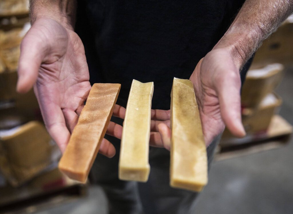 Imported Nepalese yak cheese chews in different shades on Thursday, Sept. 21, 2023 in Arlington, Washington. (Olivia Vanni / The Herald)
