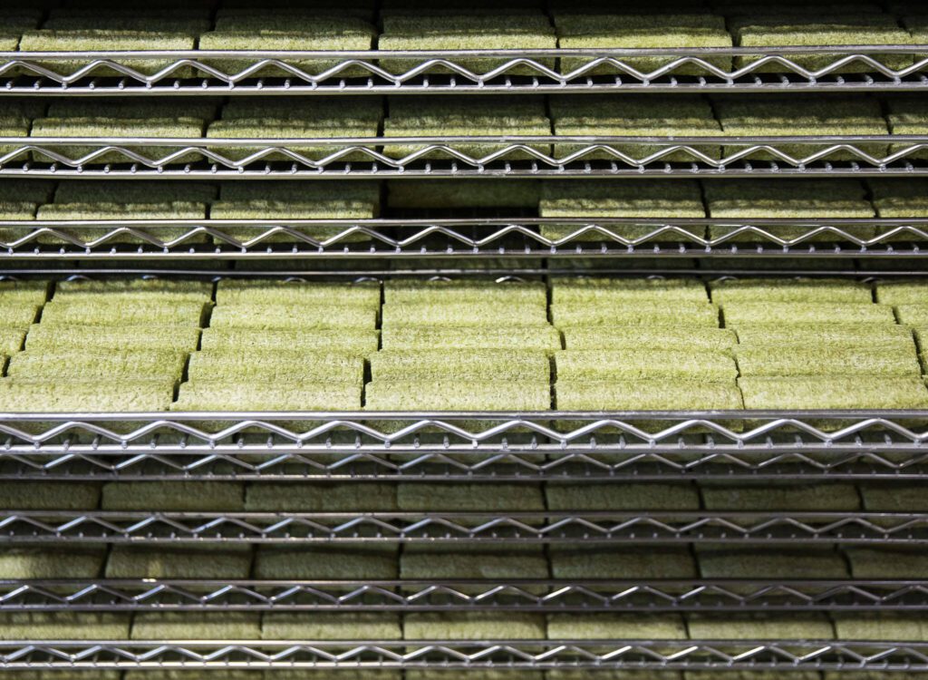 Spinach flavored puffed cheese chews on Thursday, Sept. 21, 2023 in Arlington, Washington. (Olivia Vanni / The Herald)
