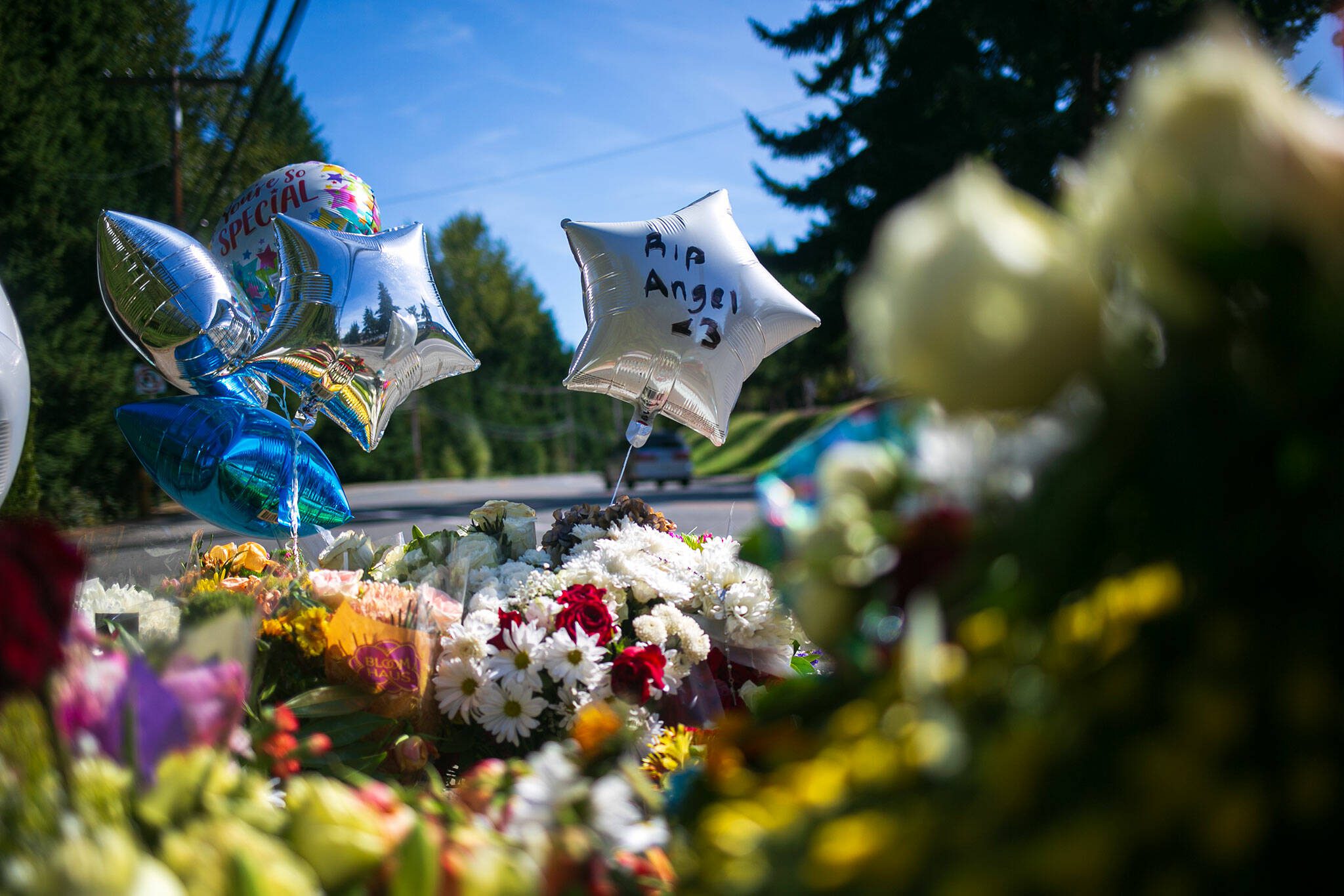 A memorial for a 15-year-old shot and killed last week is set up at a bus stop along Hardeson Road on Wednesday, Sept. 13, 2023, in Everett, Washington. (Ryan Berry / The Herald)