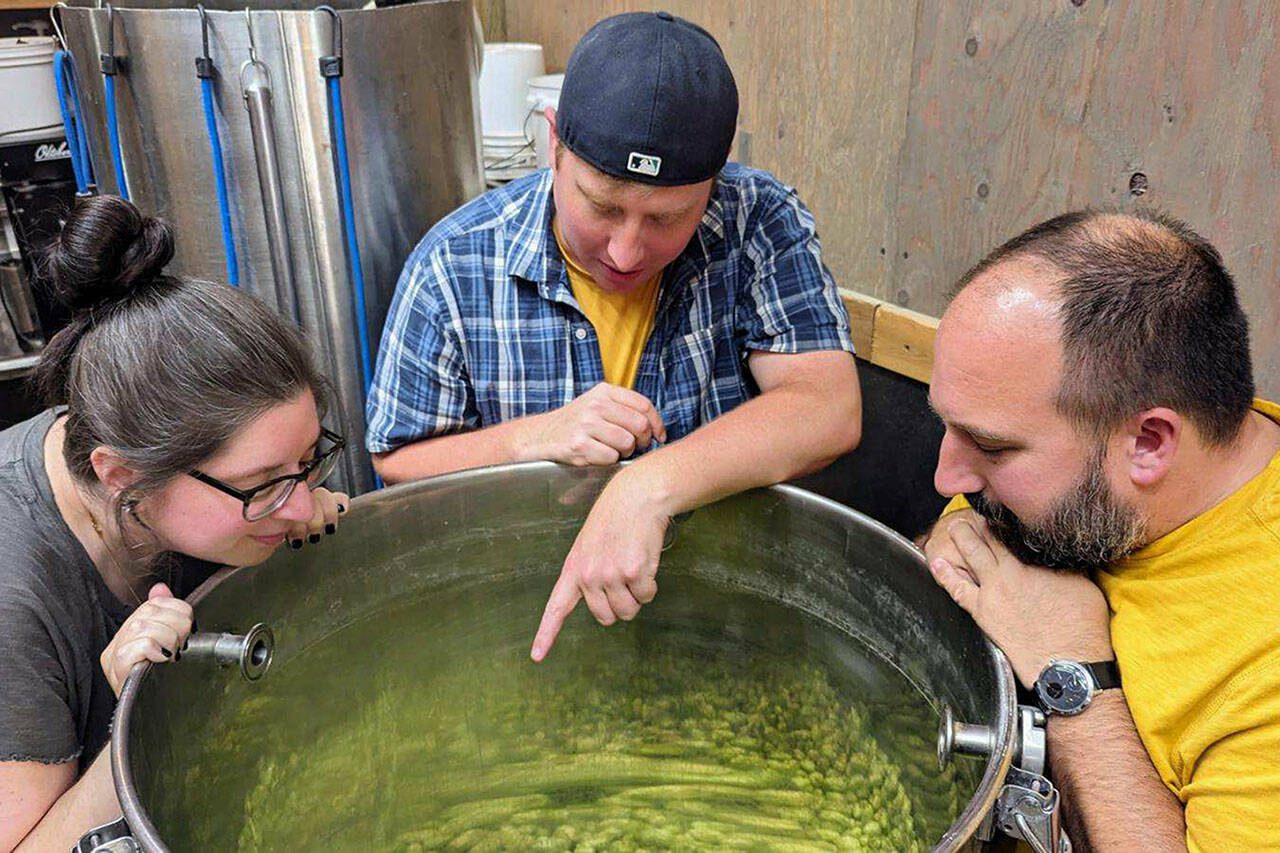 Taki Pruski, from left, Steve Brown and Cam Stefanic get an up-close look at fresh hops in the kettle at In The Shadow Brewing in Arlington. (Photo provided)