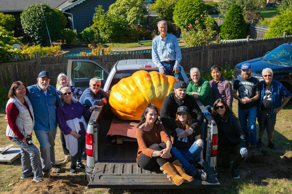 As is tradition, Ross Haddow, top, and all of his volunteer helpers take a group photo after they all managed to move a giant pumpkin from his garden downhill into the bed of his truck on Saturday, Sept. 30, 2023, at Haddow’s home in Edmonds, Washington. (Ryan Berry / The Herald)

