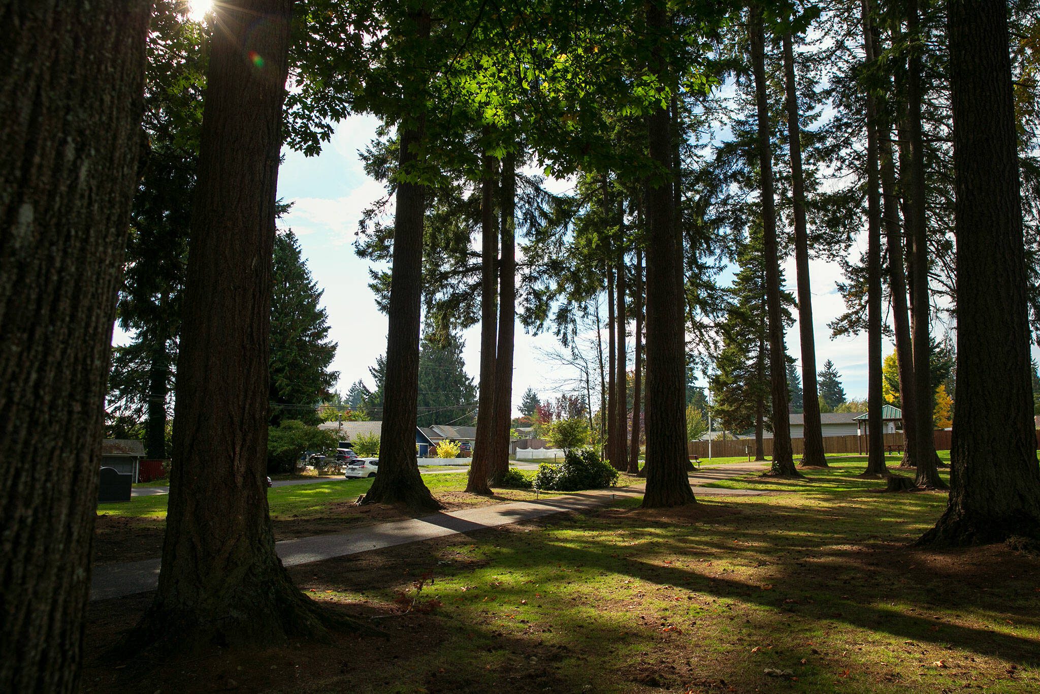 The pathway at Matt Hirvela Bicentennial Park is completed Sunday, Oct. 8, 2023, in Mountlake Terrace, Washington. (Ryan Berry / The Herald)