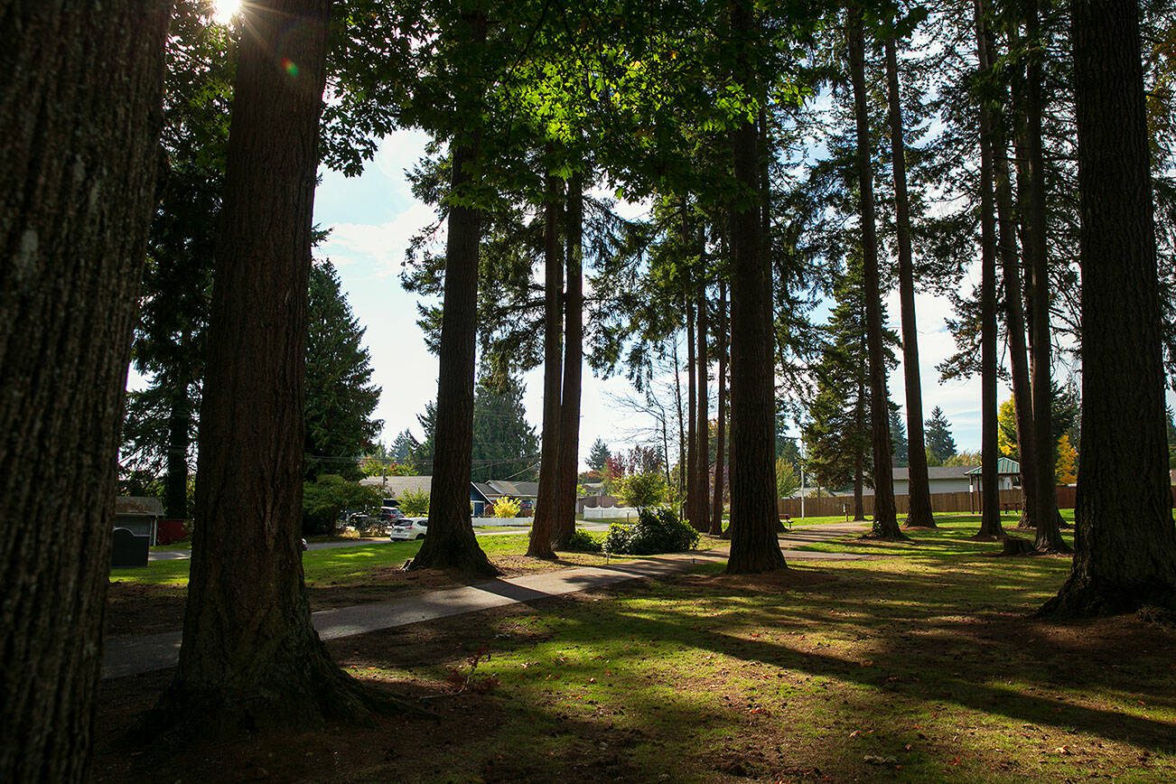 The pathway at Matt Hirvela Bicentennial Park is completed Sunday, Oct. 8, 2023, in Mountlake Terrace, Washington. (Ryan Berry / The Herald)