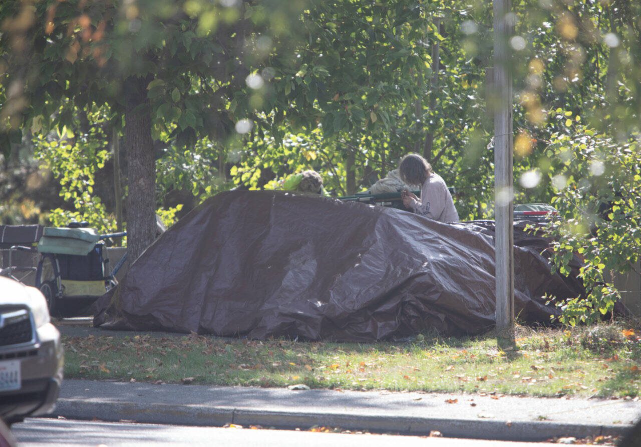 Tents occupied by unhoused people alongside Dupont Street in Bellingham. (Hailey Hoffman / Cascadia Daily News)