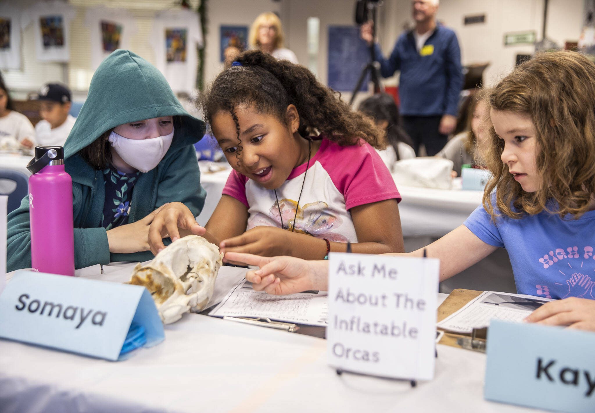 Somaya Cage, center, reacts to the teeth on a harbor seal skull being passed around her class on Thursday, Oct. 12, 2023 in Lynnwood, Washington. (Olivia Vanni / The Herald)