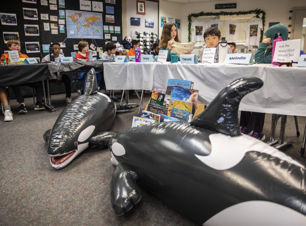 Fourth and fifth graders from Hazelwood Elementary School sit in class and learn about orcas on Thursday, Oct. 12, 2023 in Lynnwood, Washington. (Olivia Vanni / The Herald)
