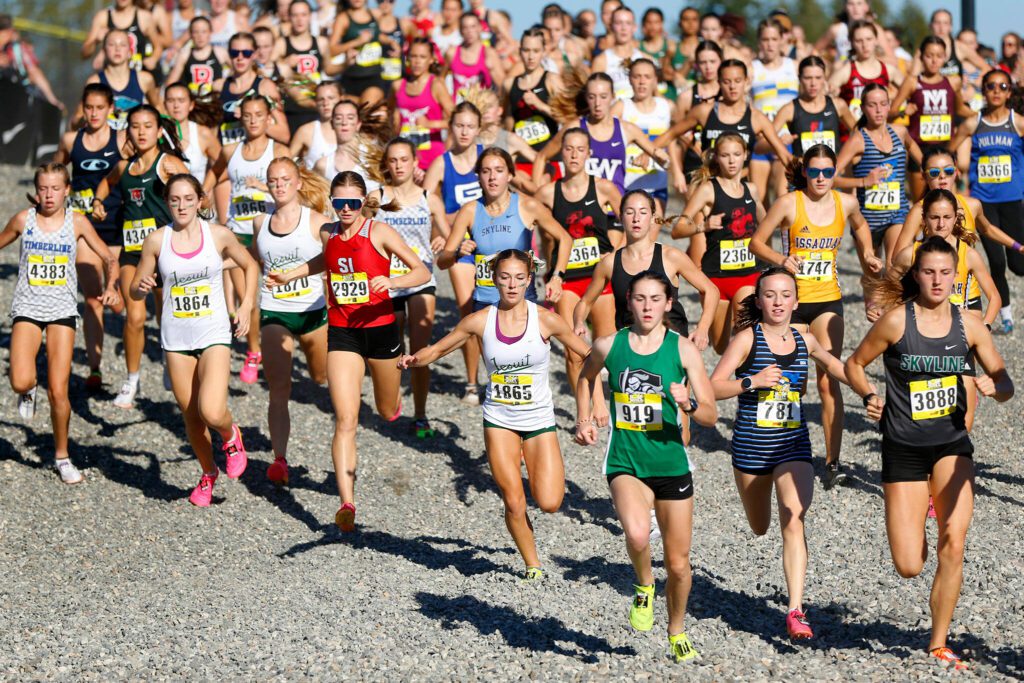 The Women’s Elite run gets underway during the Hole in the Wall Cross Country Invitational on Saturday, Oct. 7, 2023, at Lakewood High School in Arlington, Washington. (Ryan Berry / The Herald)
