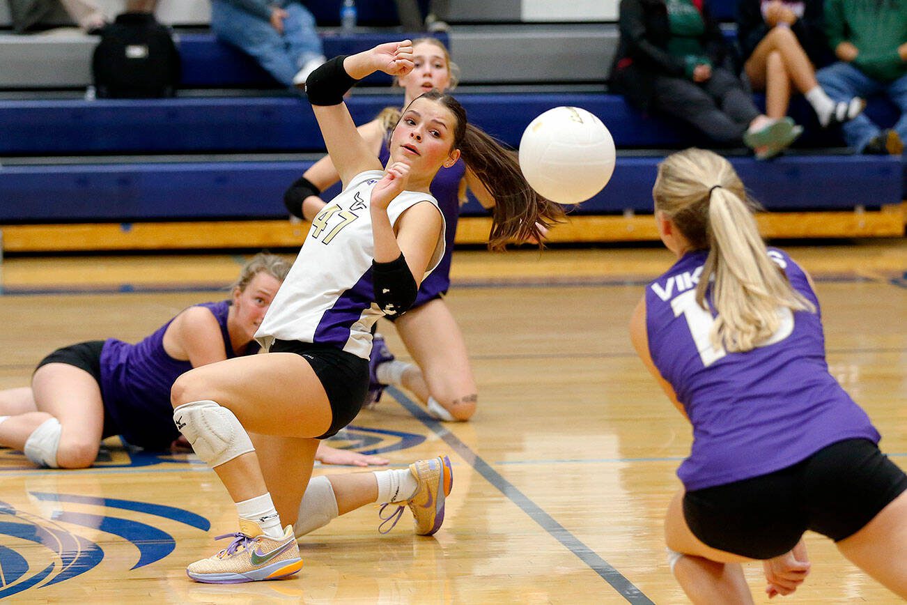 The Lake Stevens squad all hit the court trying to save the ball against Glacier Peak on Tuesday, Oct. 10, 2023, at Glacier Peak High School in Snohomish, Washington. (Ryan Berry / The Herald)