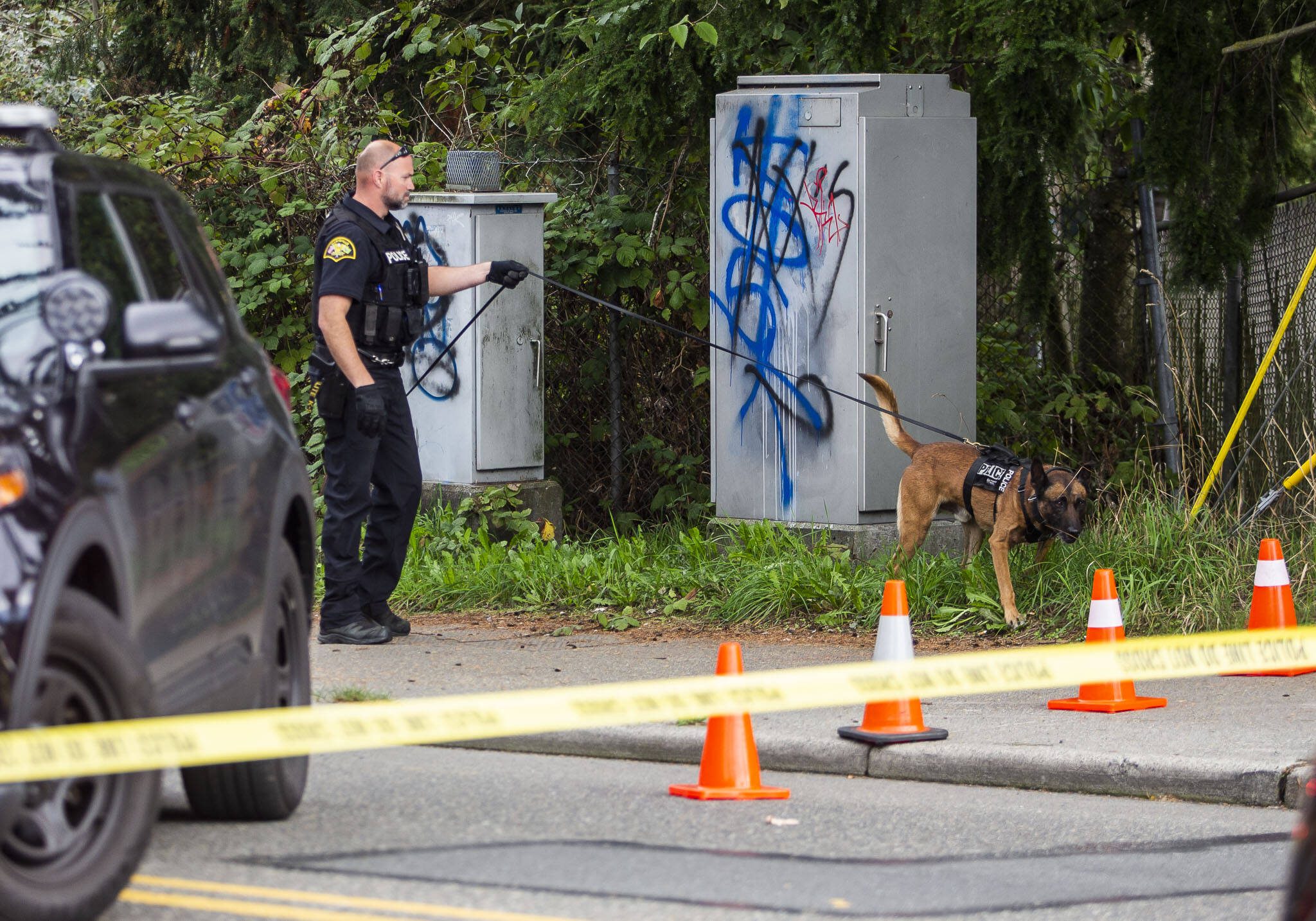 A K-9 is used at the suspected scene of a shooting to track a potential suspect that was reported by witnesses to have fled on foot on Friday, Oct. 13, 2023 in Everett, Washington. (Olivia Vanni / The Herald)