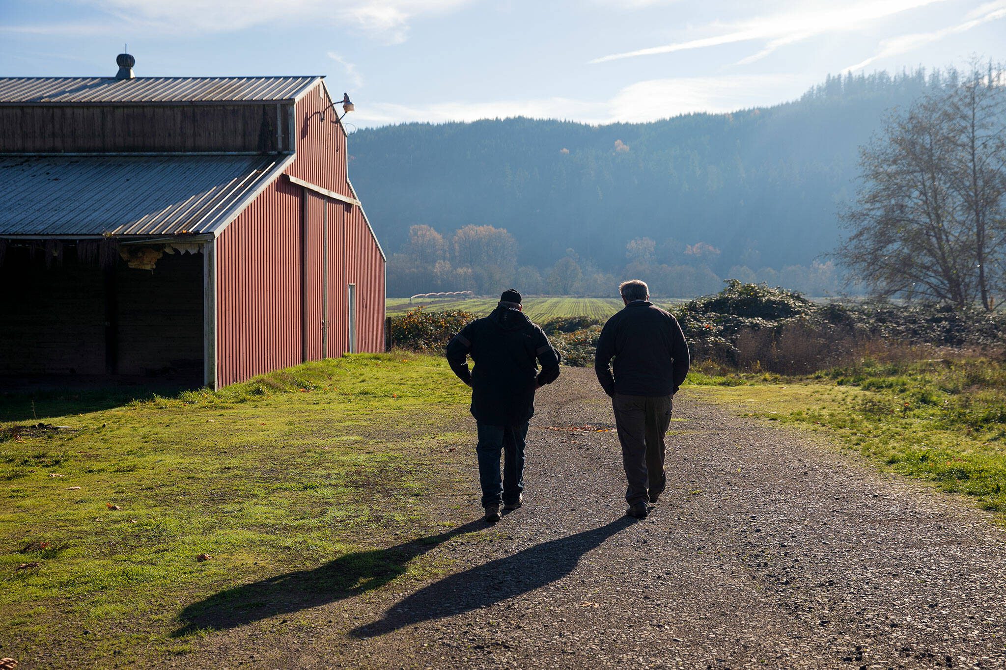 Senior Habitat Specialist Brett Gaddis, left, walks with former landowner John Roth on the Sofie Road property purchased by the county for Skykomish River floodplain restoration on Thursday, Nov. 16, 2023, in Monroe, Washington. (Ryan Berry / The Herald)