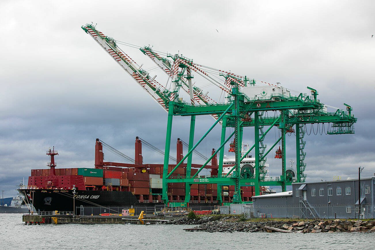 The vessel Tonga Chief, a 10-year-old Singaporean container ship, is moored at the Port of Everett Seaport on Thursday, Nov. 2, 2023, in Everett, Washington. (Ryan Berry / The Herald)