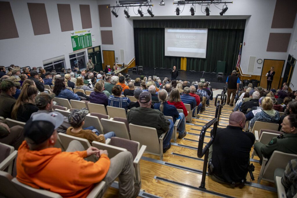 The community gathers during a meeting for public comment on the topic of bringing grizzly bears to the North Cascades at Darrington High School Auditorium in Darrington, Washington on Thursday, Nov. 2, 2023. (Annie Barker / The Herald)
