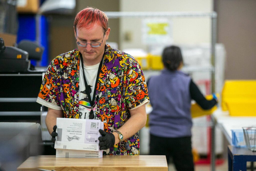 An election worker lines up sealed ballots before running them through a sorter at the Snohomish County Auditor’s office on Friday, Nov. 3, 2023, in downtown Everett, Washington. (Ryan Berry / The Herald)
