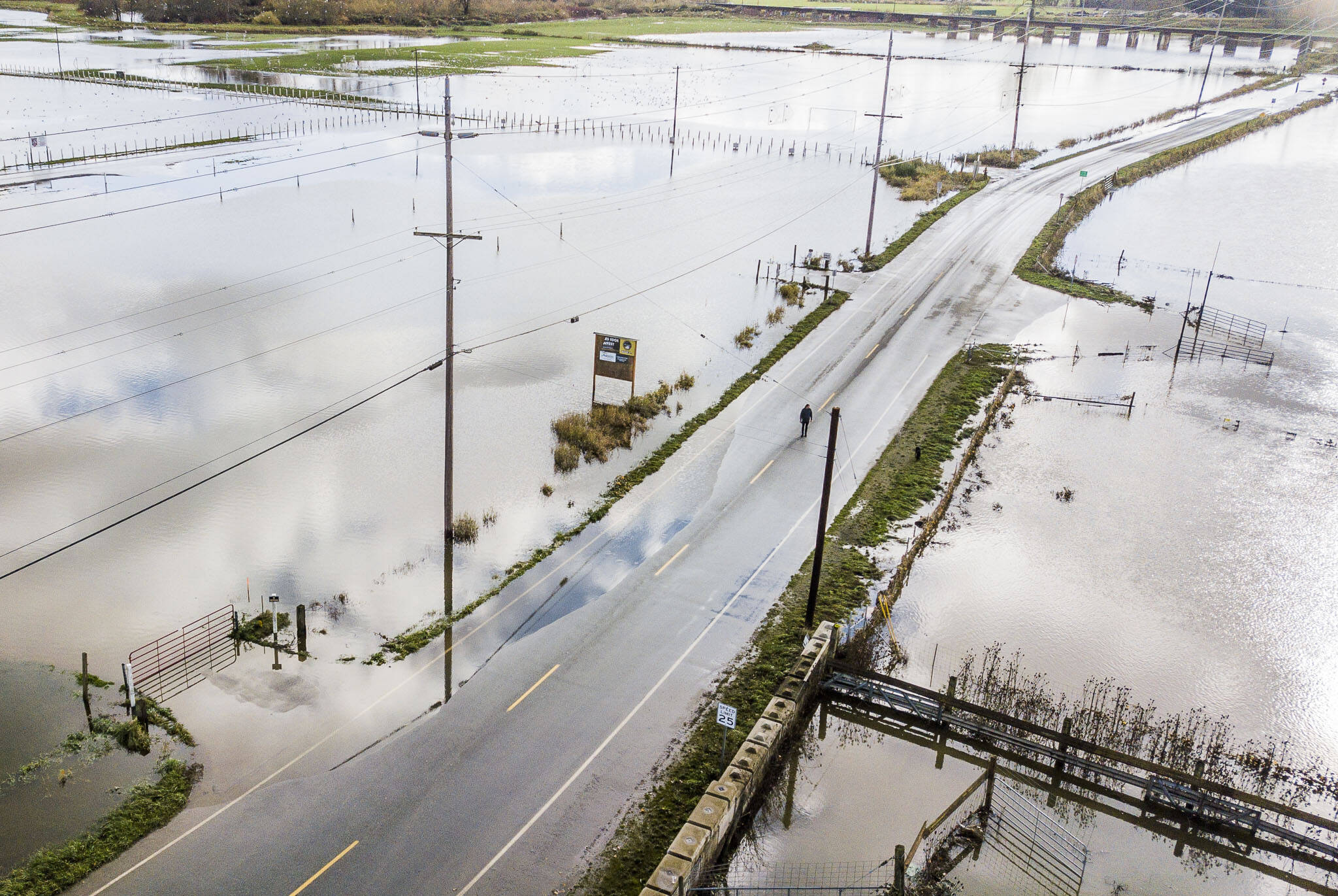 A person walks their dog along a flooded Old Snohomish Monroe Road on Tuesday, Nov. 16, 2021 in Snohomish, Washington. (Olivia Vanni / The Herald)