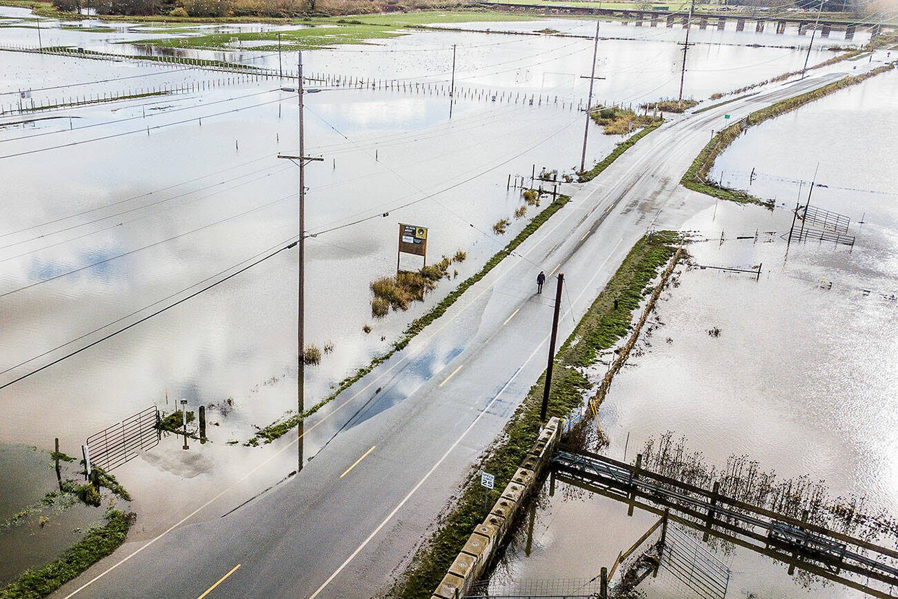 A person walks their dog along a flooded Old Snohomish Monroe Road on Tuesday, Nov. 16, 2021 in Snohomish, Washington. (Olivia Vanni / The Herald)