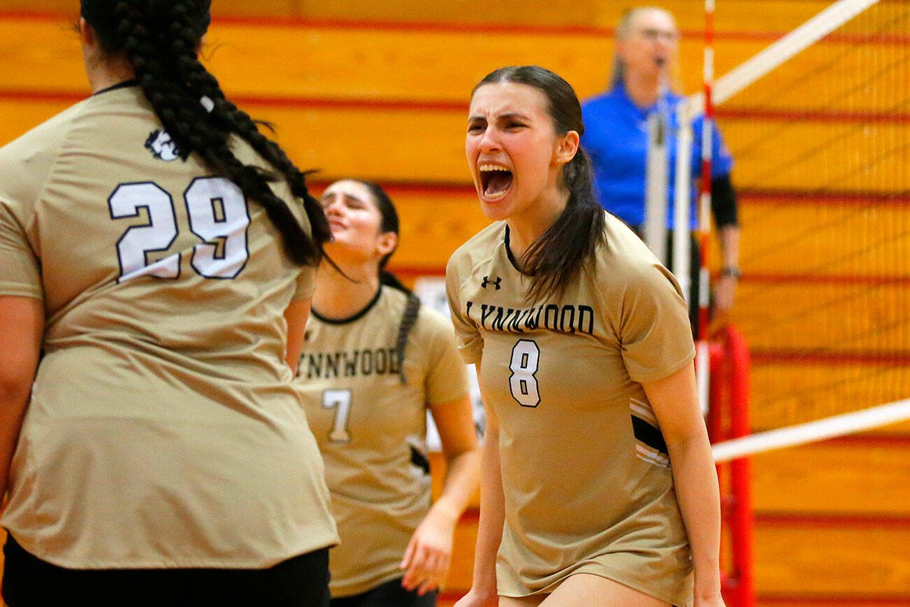 Lynnwood’s Ady Martin, right, celebrates with her teammates during a Wesco 3A District volleyball matchup against Shorecrest on Thursday, Nov. 9, 2023, at Marysville Pilchuck High School in Marysville, Washington. (Ryan Berry / The Herald)
