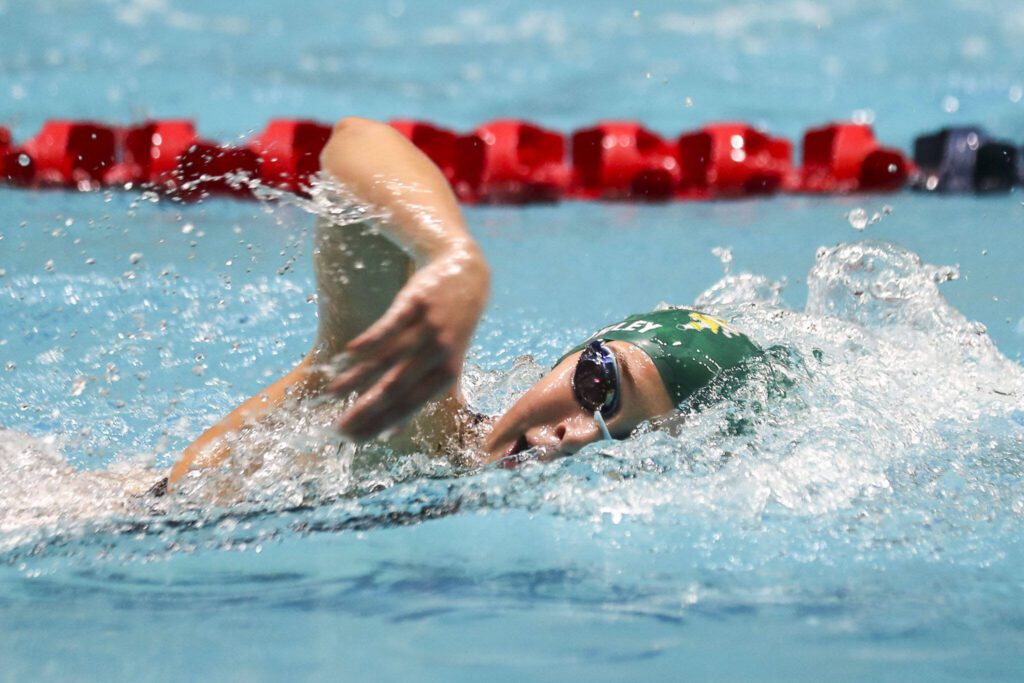 Shorecrest’s Quinn Whorley races in of the 500-yard freestyle during the Class 3A girls state swim and dive championships Saturday at King County Aquatic Center in Federal Way. (Annie Barker / The Herald)
