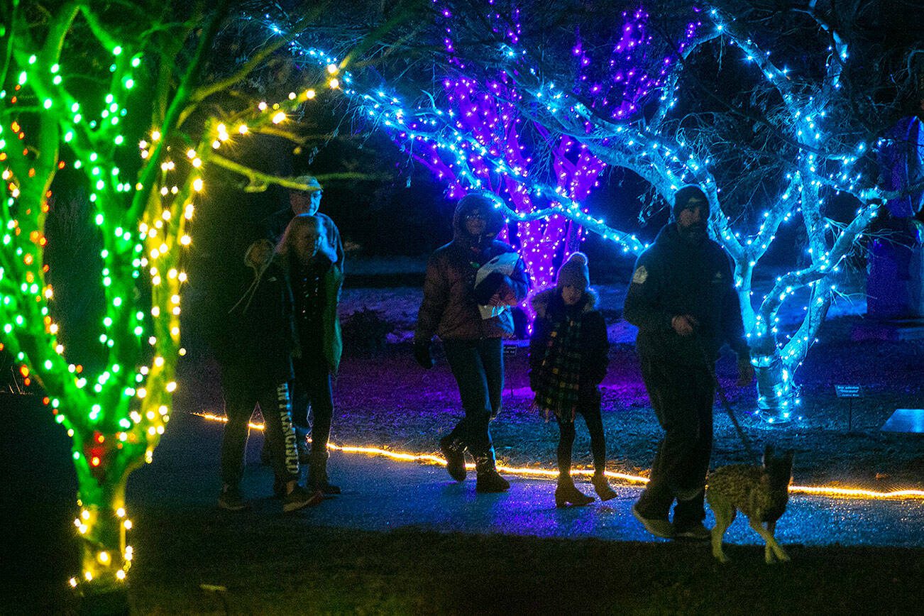 A family walks through the Wintertide lights Thursday, Dec. 1, 2022, at Legion Park in Everett, Washington. (Ryan Berry / The Herald)