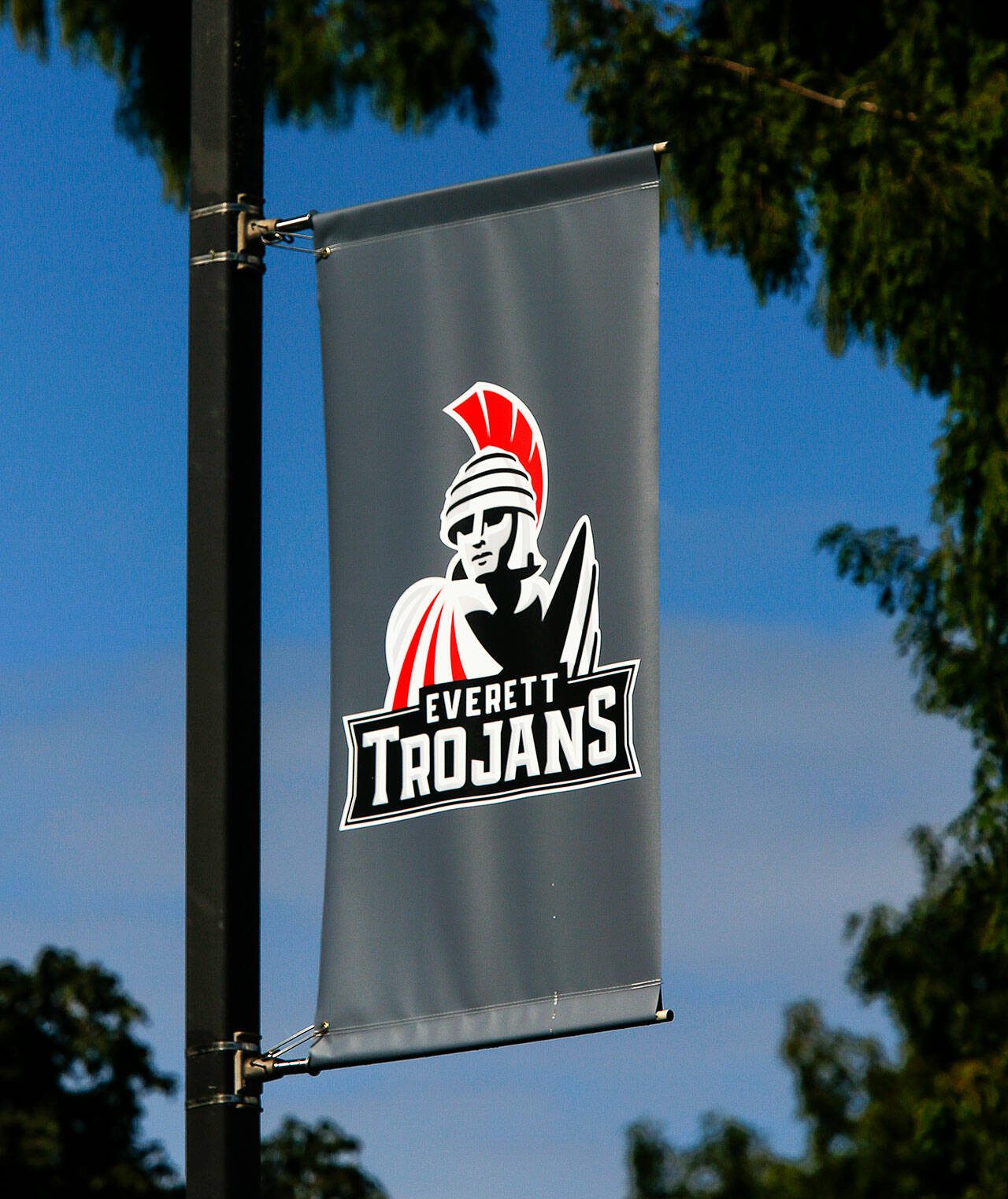 Everett Community College is introducing a new Trojan design as the college’s symbol of student spirit and athletics. The design incorporates the Feather Star, EvCC’s official logo, in the Trojan’s cape. (Dan Bates / The Herald)