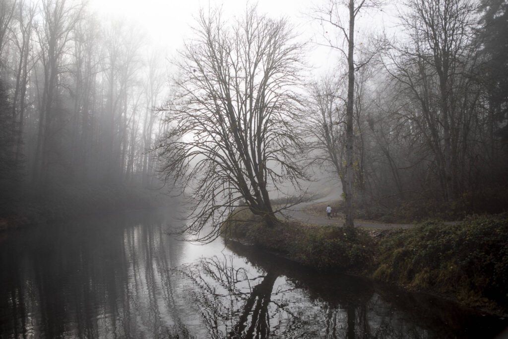 A person runs along the Sammamish River at Bothell Landing Park in Bothell, Washington on Tuesday, Nov. 28, 2023. (Annie Barker / The Herald)
