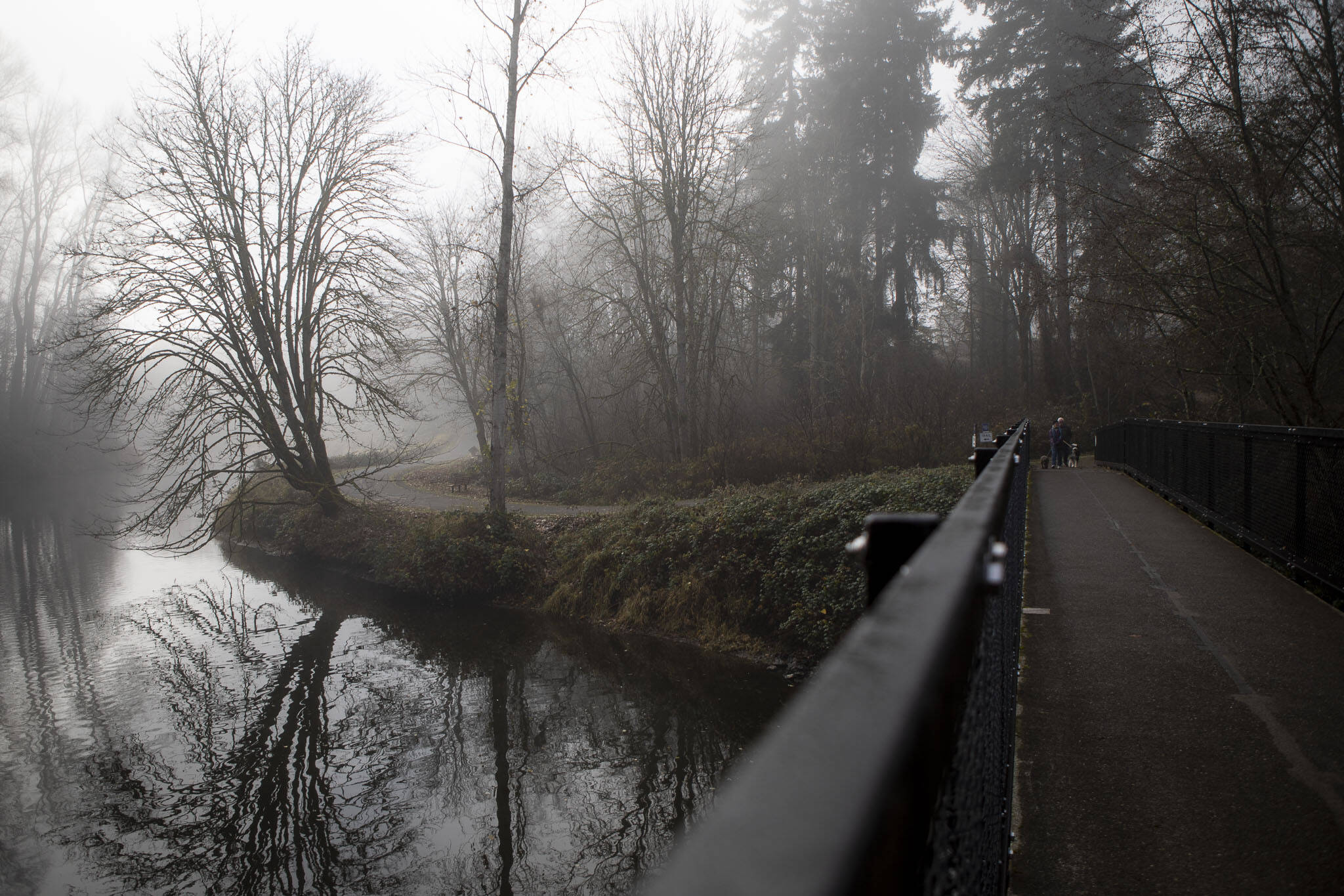 People bundled up in jackets and hats walk along the Sammamish River at Bothell Landing Park in Bothell, Washington on Tuesday, Nov. 28, 2023. Frost and colder temperatures have are prompting some Western Washington warming centers to open sooner than later. (Annie Barker / The Herald)