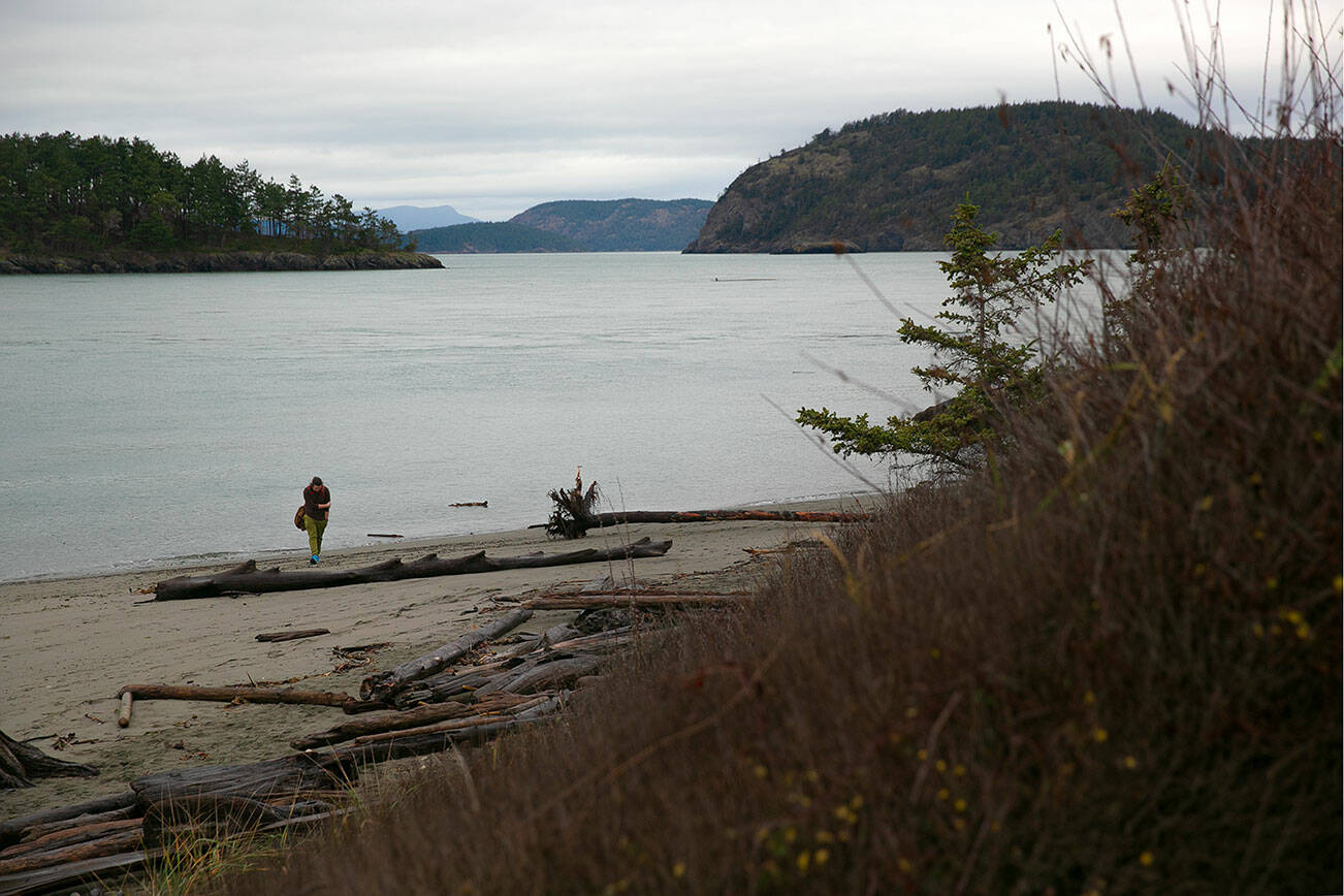 Beaches and hiking trails at Deception Pass State Park are a 20-minute walk from the Island Transit bus stop near the park entrance on Highway 20 on Tuesday, Dec. 19, 2023, in Oak Harbor, Washington. (Ryan Berry / The Herald)