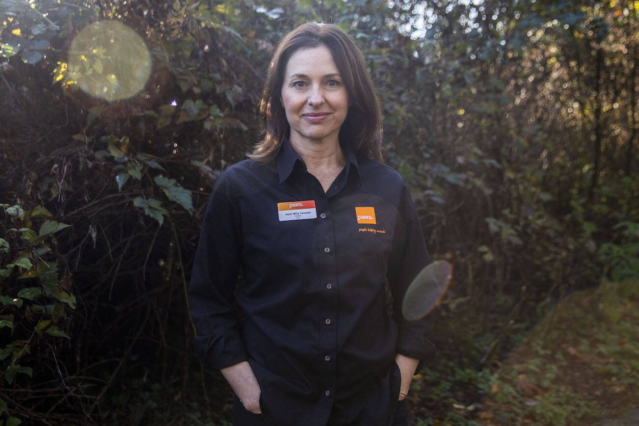 PAWS CEO Heidi Wills Yamada on Monday, Nov. 27, 2021 in Lynnwood, Washington. (Olivia Vanni / The Herald)