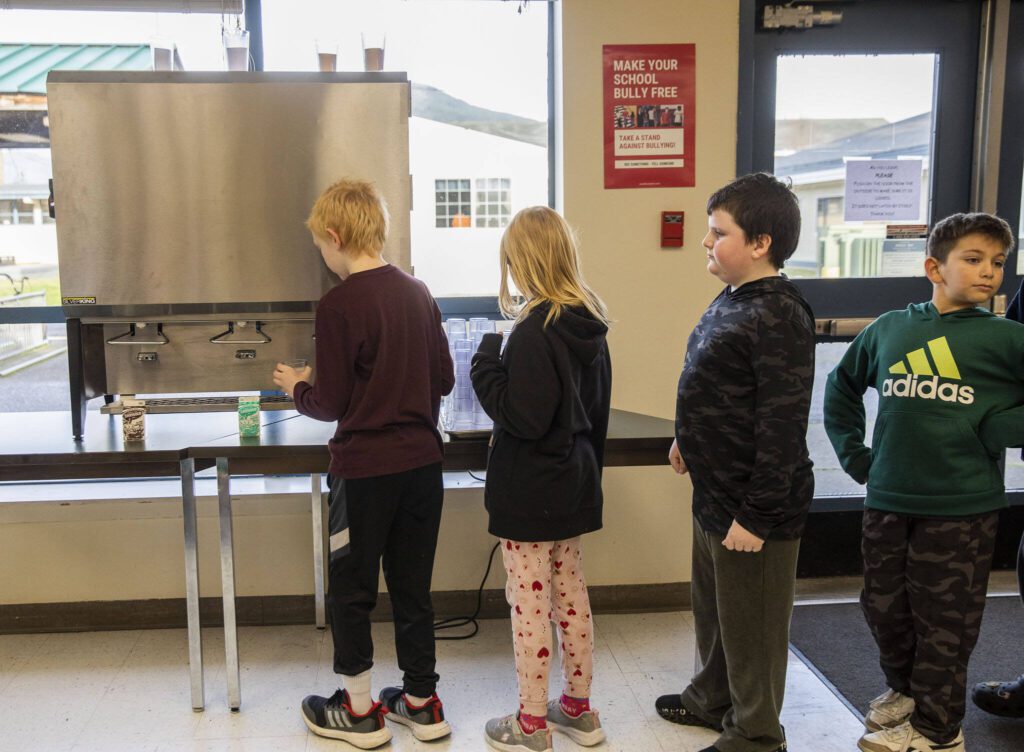 Darrington Elementary School fourth and fifth graders line up to get cups of milk during lunch on Monday, Nov. 20, 2023 in Darrington, Washington. (Olivia Vanni / The Herald)
