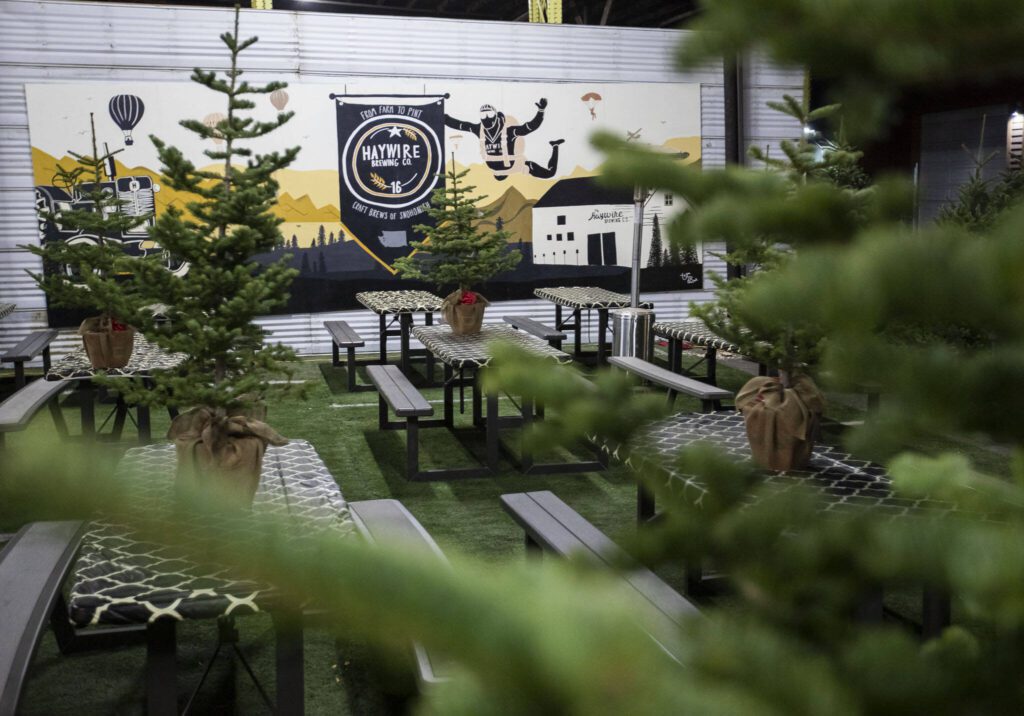 Christmas trees cover the tables of the outdoor area of Haywire Brewing Company on Wednesday, Nov. 29, 2023 in Snohomish, Washington. (Olivia Vanni / The Herald)

