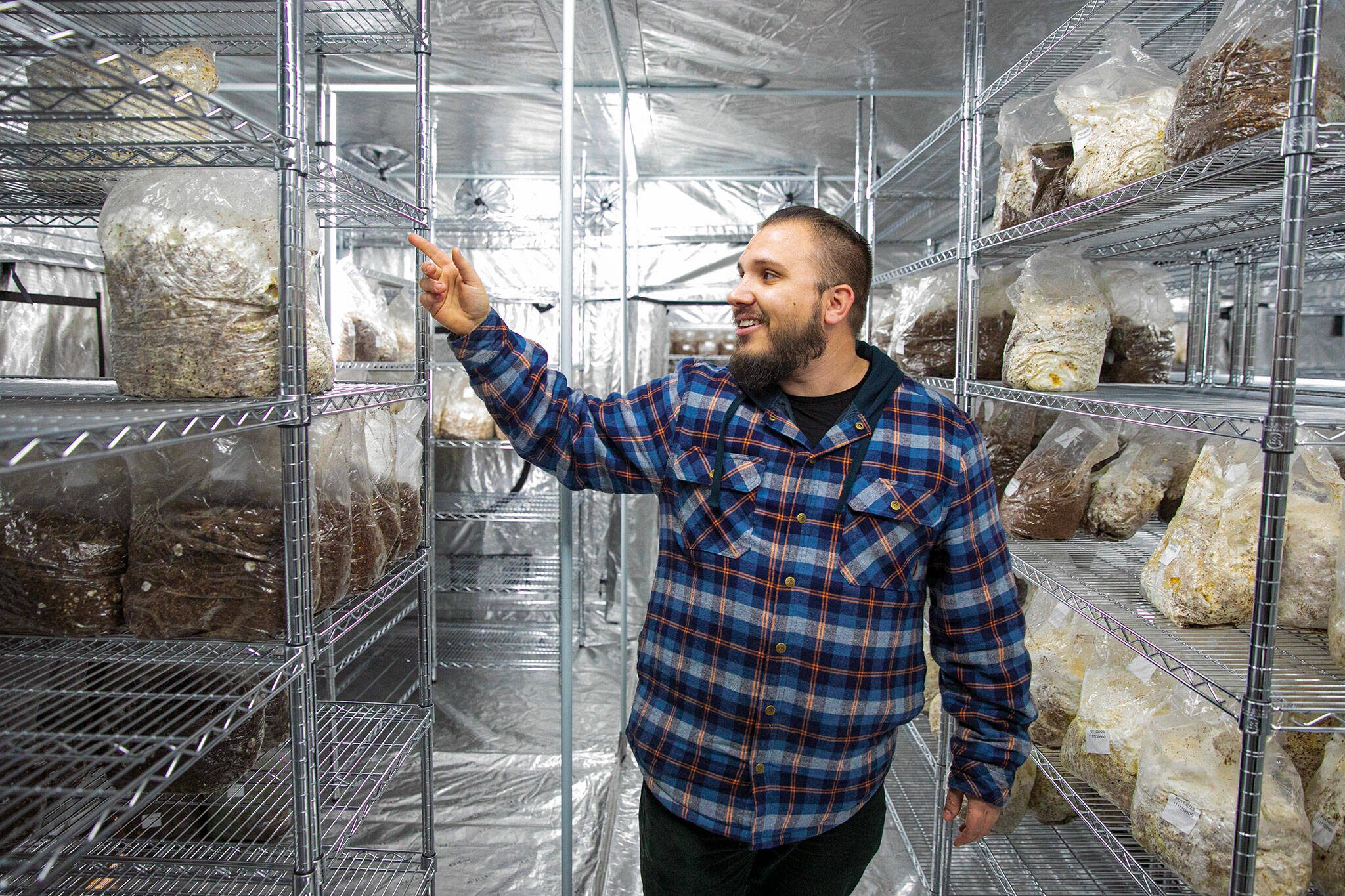 Founder Nathanael Engen walks through the incubation tent inside the new Black Forest Mushroom warehouse and storefront on Friday, Dec. 1, 2023, at in downtown Everett, Washington. (Ryan Berry / The Herald)