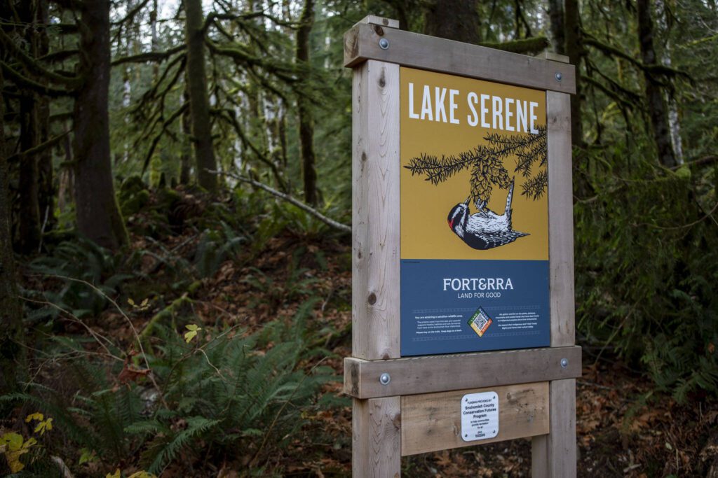 A Forterra sign at the Lake Serene and Bridal Veil Falls trailhead in Index, Washington on Wednesday, Nov. 29, 2023. (Annie Barker / The Herald)
