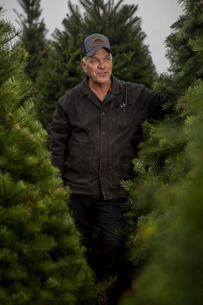 Snohomish tree farm brings Christmas spirit, one seedling at a time
