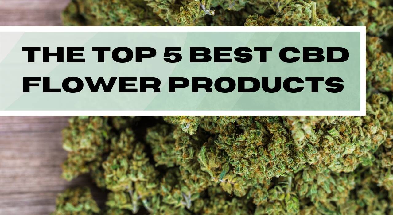 The Top 5 Best CBD Flower Products for Sale to Buy