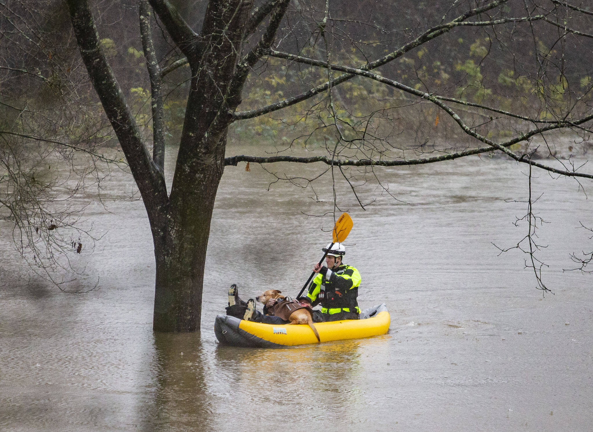 A Snohomish Regional Fire Rescue first responder paddles to shore with a man and his dog from a portion of Al Borlin Park where they were stranded with three other people on Tuesday, Dec. 5, 2023 in Monroe, Washington. (Olivia Vanni / The Herald)